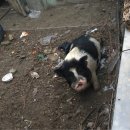 서현농장 이미지