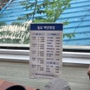 백번횟집 | [포항맛집] 월포 백번횟집 비벼먹는 물회가 맛있는 곳!