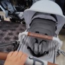 별내세탁백화점 | 절충형유모차 구입 노하우