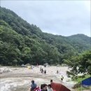 어제 날짜 범람하는 계곡에 쓸려가는 사람들 이미지