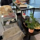 앤센스 커피 로스터스 | [부천 춘의동] 카페 앤센스 에스프레소 커피바 솔직 방문 후기 &amp; 감성 글