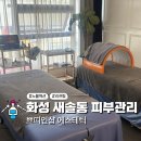 현피부샵 - 전주시 덕진구 벚꽃로 19 | 화성 새솔동 피부관리 쁘띠앤샵, 노블젝션 리프팅 후기