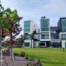 제주애견동반감성숙소 르페도라 이미지