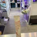 웰버약국 이미지