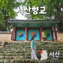 향교로 3 | 서산향교 은행나무 주차 포토존 500년 거목 관람 후기
