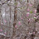 강천산군립공원(강천사) 이미지