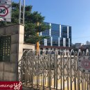 잠실여자고등학교 (내) 네이버블로그