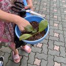 푸른종묘농약사 이미지