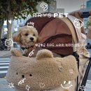 몽글몽글 펫 이미지