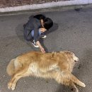 폼프리츠 이미지