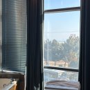 피어86 | 피어86스파펜션 강릉 후기