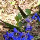 해림초등학교 이미지