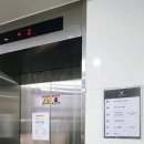 니골리앙턱시도 이미지