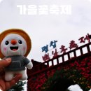 종부둔치화장실(백일홍화장실) | 9월 가을꽃축제 가볼만한곳 평창 백일홍축제 붉은메밀 천일홍 황화코스모스까지
