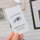 래쉬 비(LASH B!)