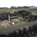 동일리-6 Daum카페