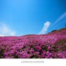 산상목장 이미지