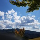 에비뉴162 이미지