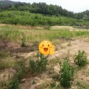 농지목장 이미지