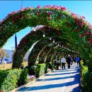 황산공원 이미지