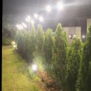 라비드 포레 이미지