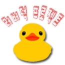 선선오리 이미지