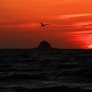 방아머리선착장 이미지