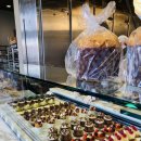 유니언버드 이미지