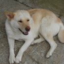 철구농장 이미지