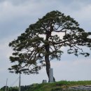 낭산면행정복지센터 이미지