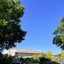 죽빵당구클럽 이미지