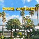 601 | 뚜벅이여행 제주공항에서 신라호텔 600번, 601번 리무진버스 후기