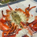 부산 해운대 랍스타맛집 해운대미포1호랍스타포차 내돈내산 후기 ~_~