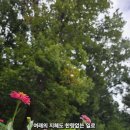 한량 - 마포구 와우산로32길 11 | 한량