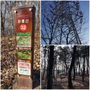 문화대로 공원 이미지