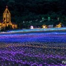 프로방스 포토랜드 이미지