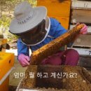 의성대표벌꿀농원