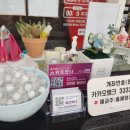 스위트안나 이미지