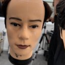 하이앤플랫