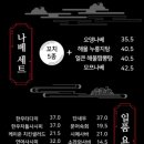 쿄다이 - 안성시 석정1길 25 | 쿄다이