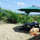 여름농장 이미지