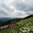 육백마지기 이미지