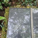 제주 천제연 난대림 이미지