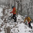 노안초등학교 이미지