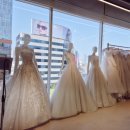 신길로 | 강아지 화동 예신 준비 세번째 이야기🐶💍 아이웨딩 페스타 방문 후기🎀 솔직후기🤩