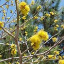 정선읍사무소 이미지