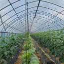 백성현 농장 이미지