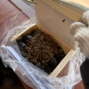 황룡stay | [경주여행] 경주로 1박 2일 가족여행가기!🚗 | 경주 6인 숙소추천 | 동궁과월지 야경🌕