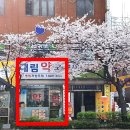 서울대림약국 이미지