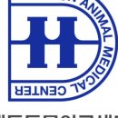 해든고양이병원 이미지